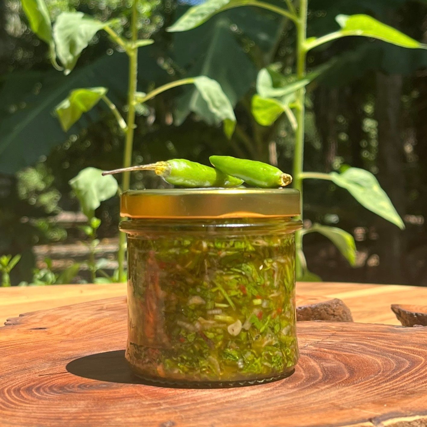 Andean Herb Chimichurri Verde / Chimichurri Verde de Hierbas Andinas