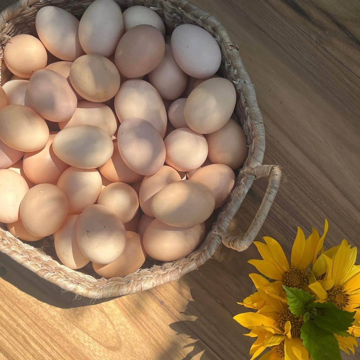 Fresh Eggs / Huevos Frescos