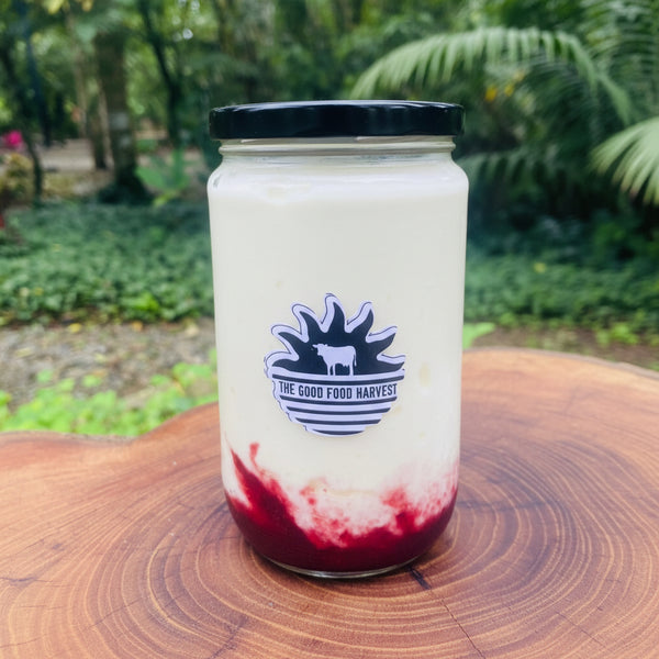 Farmstead Fresh Yogurt / Yogur Fresco de Nuestra Granja