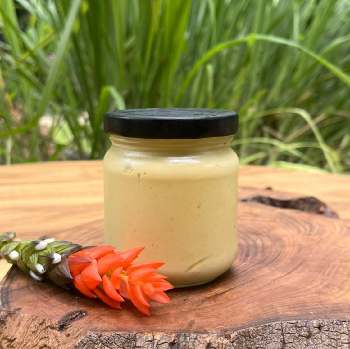 Farm-Fresh Olive Oil Mayo / Mayonesa Artesanal con Huevo de la Finca