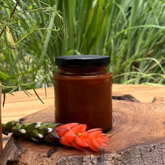 Tamarind-Panela BBQ Sauce / Salsa BBQ de Tamarindo y Panela