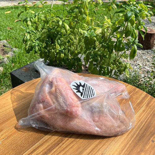 Turkey / Pavo